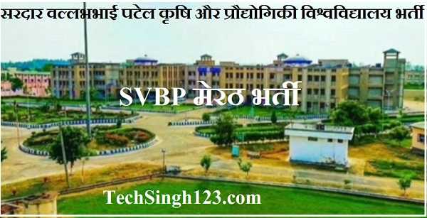 SVBP Meerut Recruitment SVPUAT Recruitment SVBP Meerut Bharti