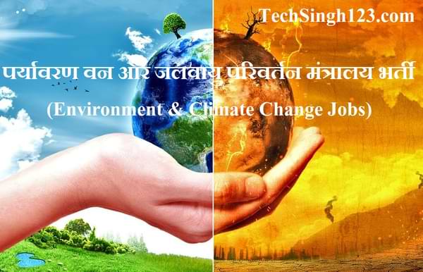Paryavaran Vibhag Vacancy Environment & Climate Change Department Bharti MOEF Vacancy