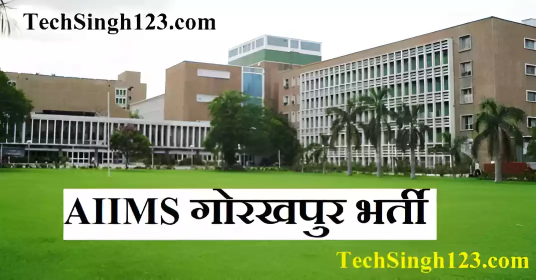 AIIMS Gorakhpur Vacancy AIIMS गोरखपुर भर्ती AIIMS Gorakhpur Recruitment