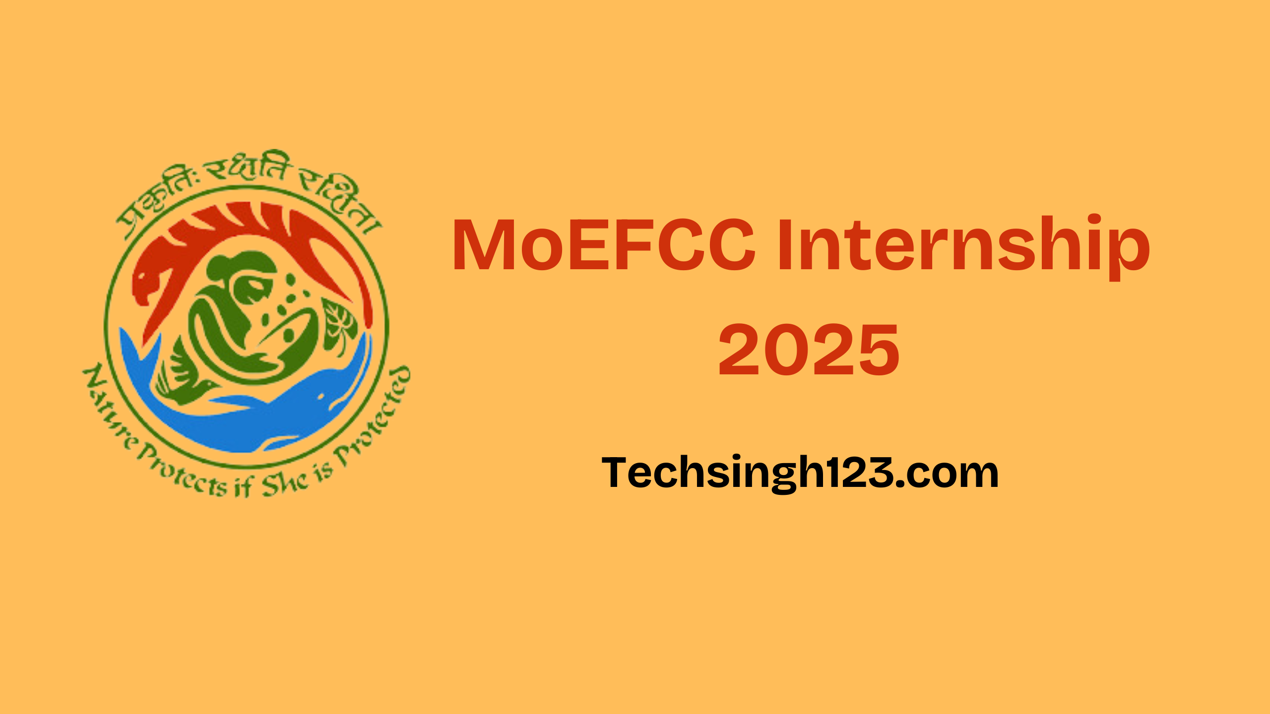 MoEFCC Internship 2025: Eligibility, Duration, Roles and Responsibilities✅