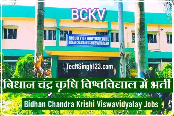 BCKV Recruitment Bidhan Chandra Krishi Viswavidyalaya Recruitment