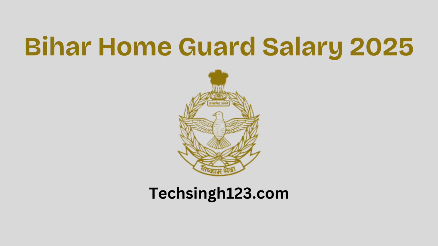 bihar-home-guard-salary-2025-basic-pay-allowances-and-other-allowances