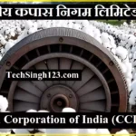 CCI Recruitment Cotton Corporation Recruitment Bhartiya Kapas Nigam Bharti