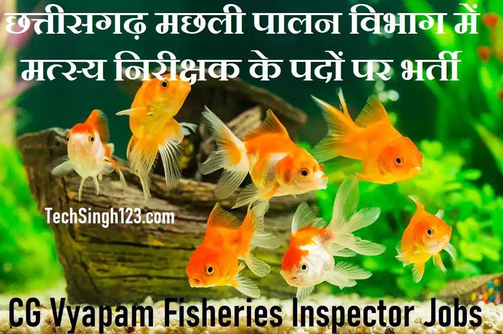 CG Fish Inspector Recruitment CG Vyapam Fish Inspector Vacancy