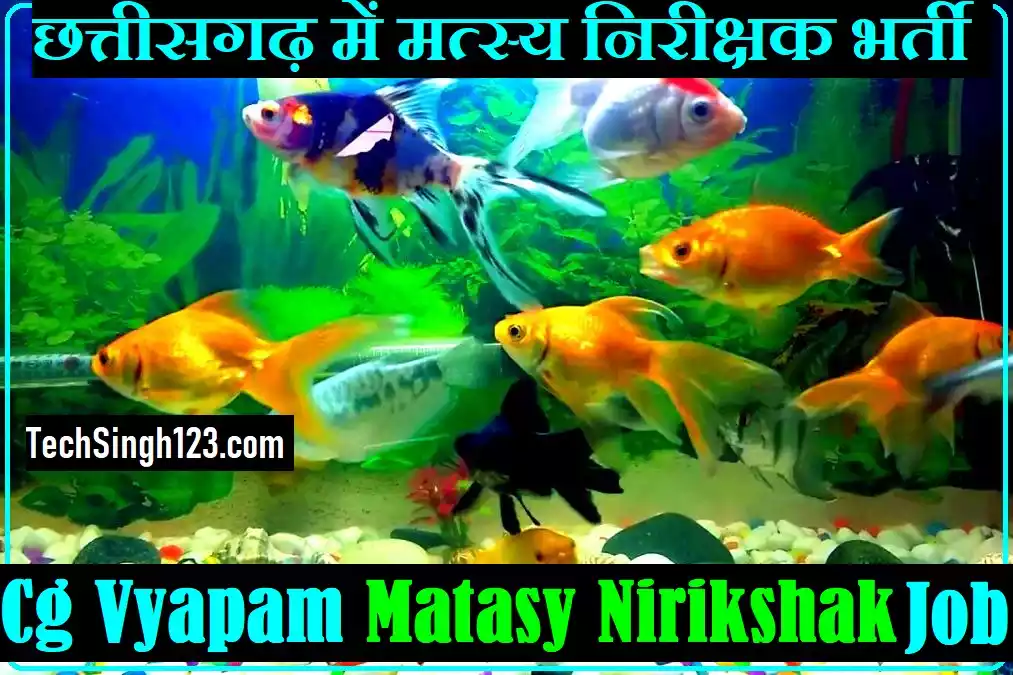 CG Matasy Nirikshak Recruitment CG Vyapam Matasy Nirikshak Vacancy