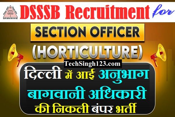 DSSSB Section Officer Recruitment DSSSB SO Recruitment