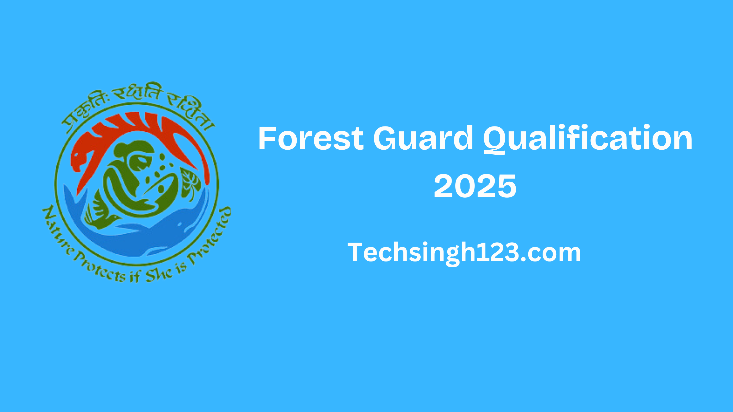 Forest Guard Qualification 2025: Education, Age Limit and Other Requirements✅