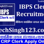 IBPS Clerk Recruitment IBPS Clerk भर्ती बैंकिंग कार्मिक चयन संस्थान भर्ती