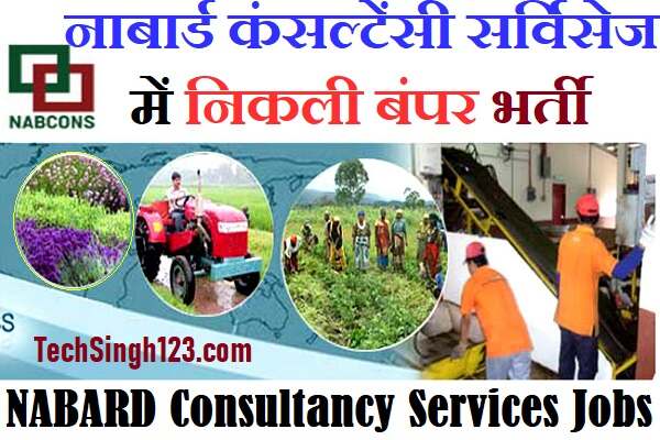 NABCONS Recruitment NABARD Consultancy Services Recruitment