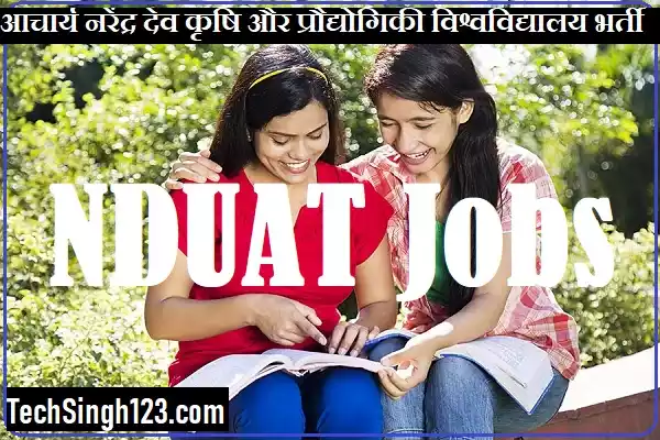 NDUAT Recruitment NDUAT Application Form