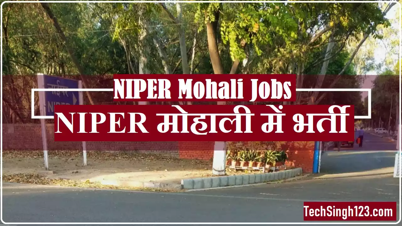 NIPER Mohali Recruitment NIPER मोहाली भर्ती