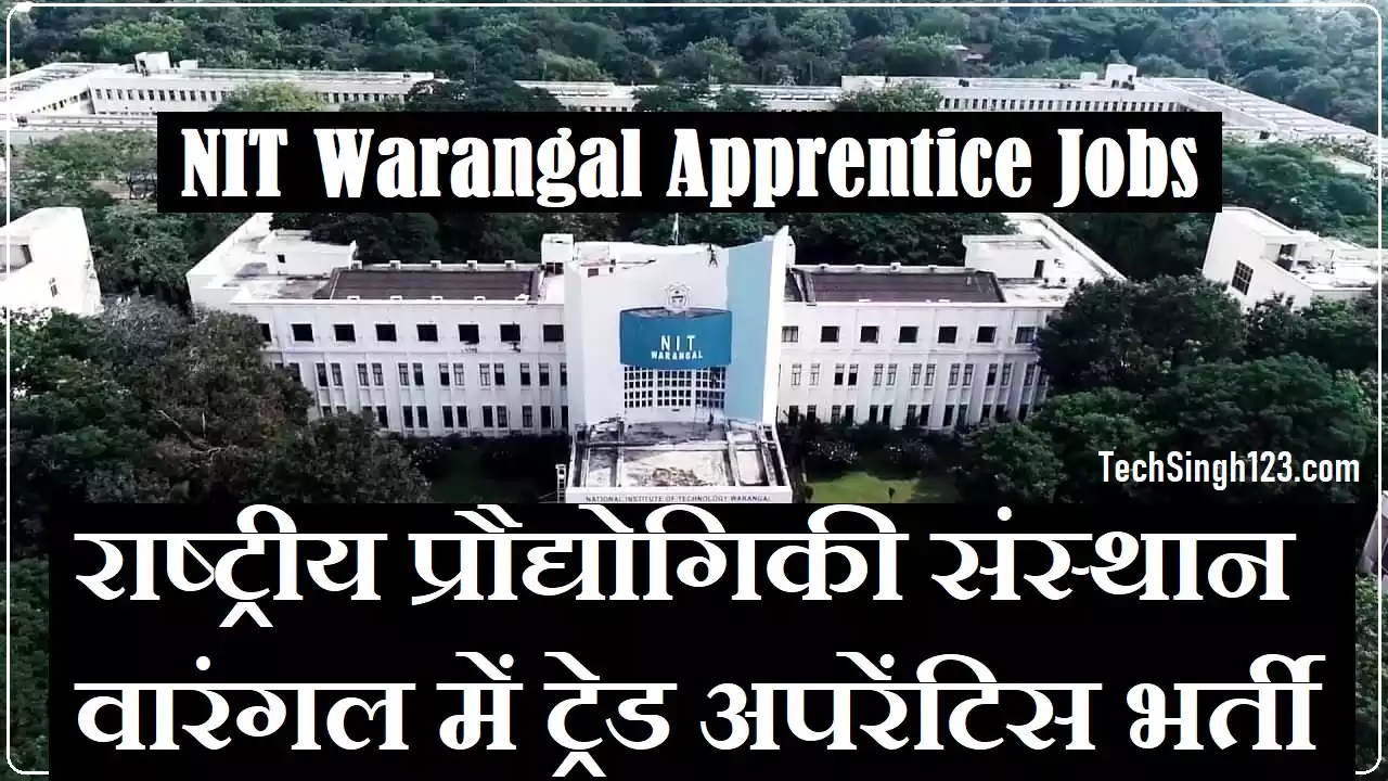 NIT Warangal Apprentice Vacancy NIT Warangal Apprentice Jobs