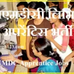 NMDC Apprentice Recruitment NMDC Ltd Apprentice Recruitment