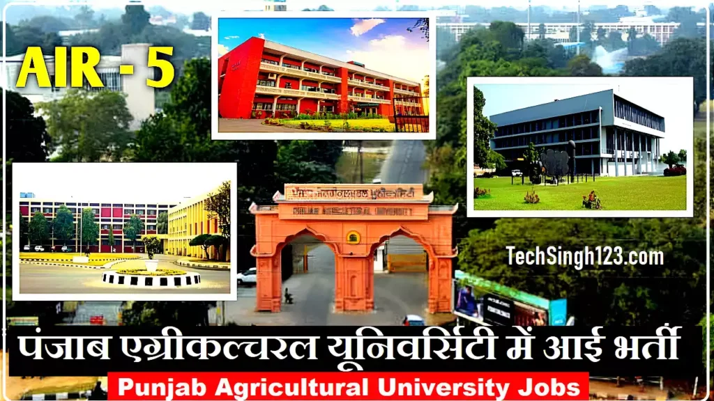 PAU Recruitment 202 Punjab Agricultural University Bharti