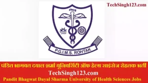 PGI Rohtak Recruitment PGIMS Rohtak Recruitment PGIMS Bharti