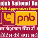 PNB Apprentice Recruitment PNB Apprentice Notification