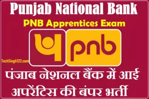 PNB Apprentice Recruitment PNB Apprentice Notification