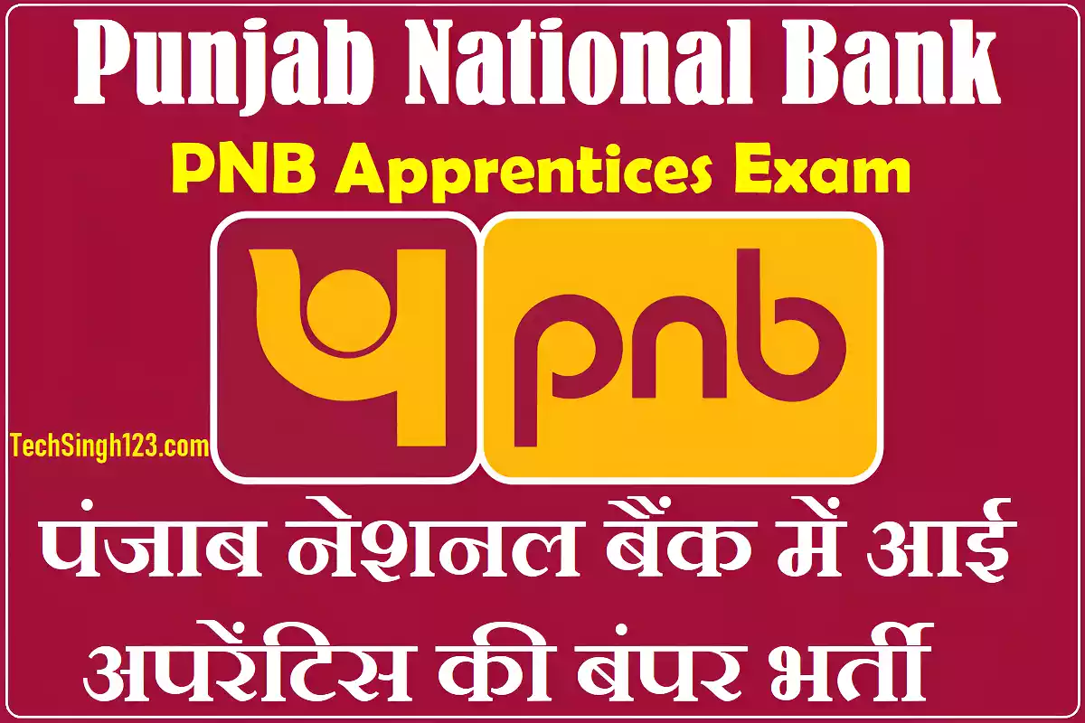 PNB Apprentice Recruitment PNB Apprentice Notification