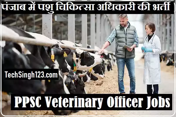 PPSC Veterinary Officer Recruitment Punjab Veterinary Vacancy