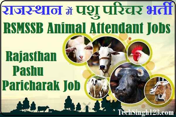 RSMSSB Animal Attendant Bharti RSMSSB Animal Attendant Recruitment