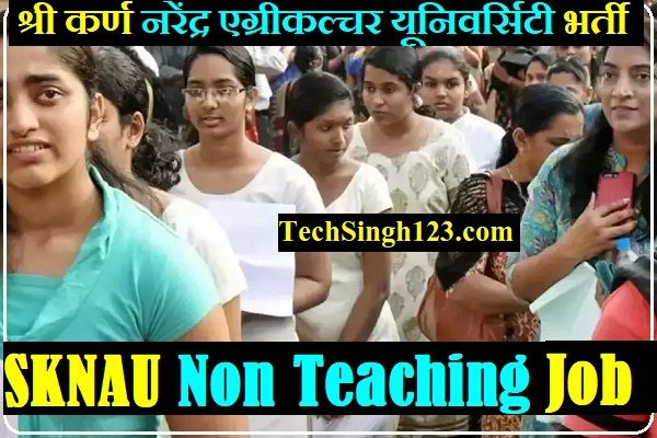 SKNAU Non Teaching Bharti SKNAU Jobner Recruitment