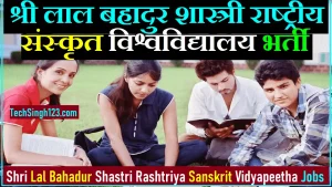 SLBSRSV Recruitment SLBSRSV भर्ती श्री लाल बहादुर शास्त्री राष्ट्रीय संस्कृत विद्यापीठ भर्ती