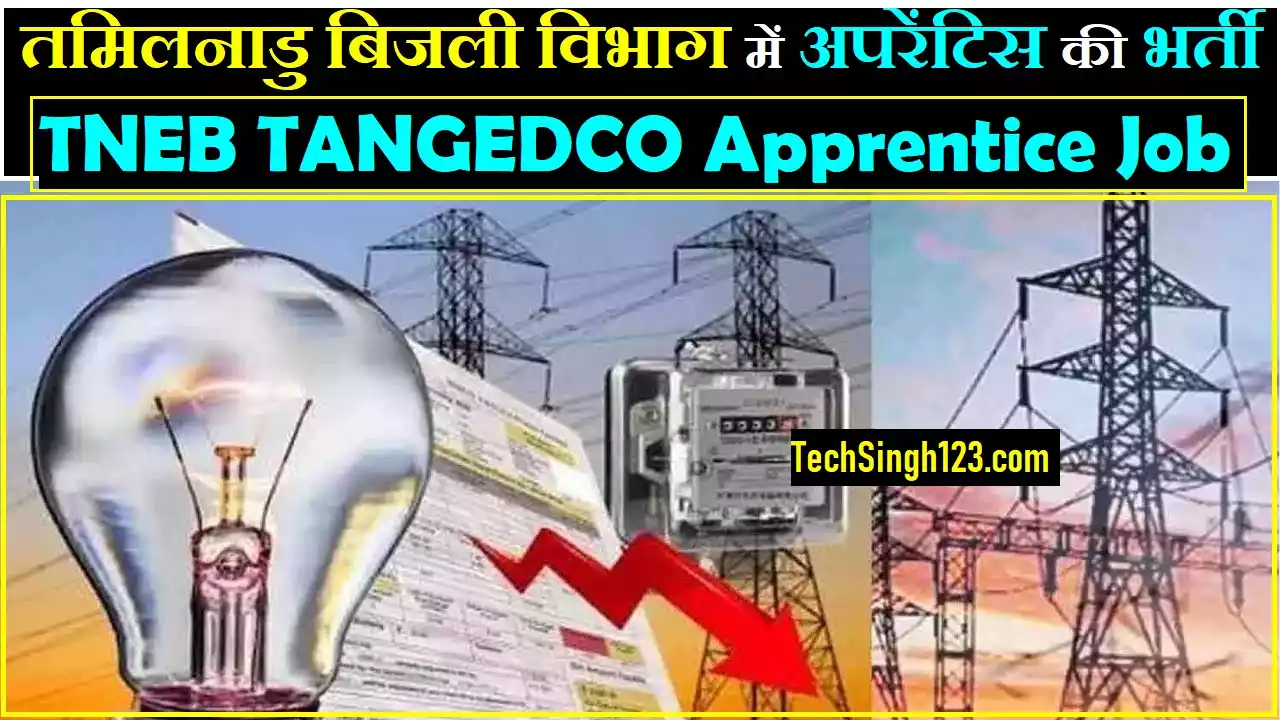 TANGEDCO Apprentice Recruitment TNEB Apprentice Recruitment