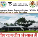 WII Dehradun Recruitment Wildlife Dehradun Recruitment