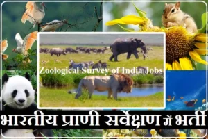 Zoological Survey of India Recruitment ZSI Recruitment